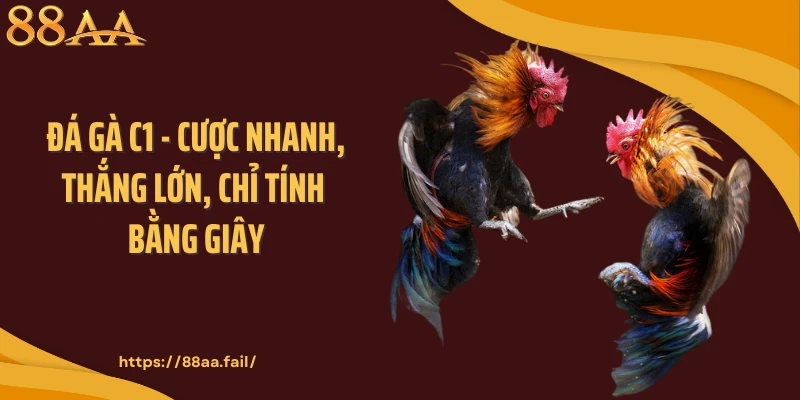 Đá Gà C1