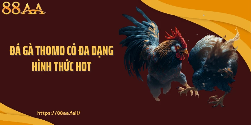 Đá gà Thomo