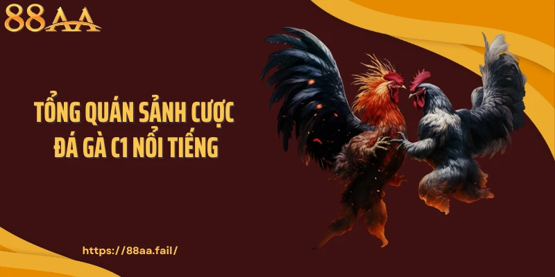 đá gà C1